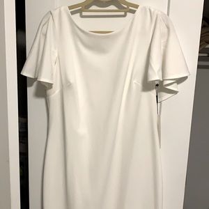 Women’s Calvin Klein Dress